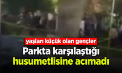 Parkta karşılaştığı husumetlisine acımadı