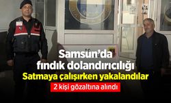 Samsun’da fındık dolandırıcılığı: Satmaya çalışırken yakalandılar