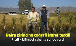 Bafra pirincine coğrafi işaret tescili: 7 yıllık bilimsel çalışma sonuç verdi