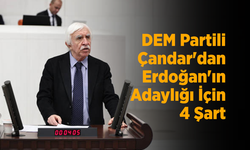 DEM Partili Cengiz Çandar'dan Erdoğan'ın Adaylığı İçin 4 Şart