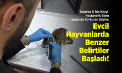 Tokat'ta 5 Bin Kişiyi Hastanelik Eden Salgında Korkutan Şüphe: Evcil Hayvanlarda da Benzer Belirtiler Başladı!