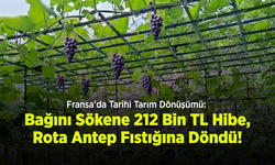Fransa'da Tarihi Tarım Dönüşümü: Bağını Sökene 212 Bin TL Hibe, Rota Antep Fıstığına Döndü!