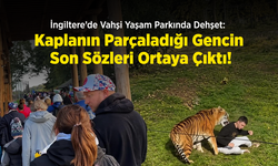 İngiltere’de Vahşi Yaşam Parkında Dehşet: Kaplanın Parçaladığı Gencin Son Sözleri Ortaya Çıktı!