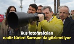 Kuş fotoğrafçıları, nadir türleri Samsun'da gözlemliyor