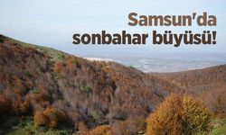 Samsun'da sonbahar büyüsü! Ladik Gölü mest etti
