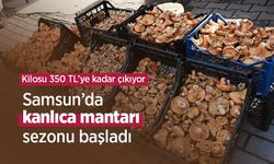Samsun’da kanlıca mantarı sezonu başladı: Kilosu 350 TL’ye kadar çıkıyor