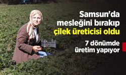 Samsun'da mesleğini bırakıp çilek üreticisi oldu: 7 dönümde üretim yapıyor