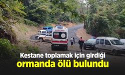 Kestane toplamak için girdiği ormanda ölü bulundu