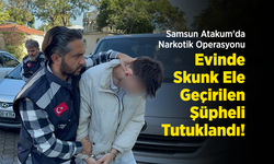 Yağışlar Mantar Popülasyonunu Artırdı, OMÜ’lü Uzmandan Kritik Uyarı: "Zehirli Mantar Asla Gözle Anlaşılmaz!"