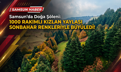 Samsun'da Doğa Şöleni: 1000 Rakımlı Kızlan Yaylası Sonbahar Renkleriyle Büyüledi!