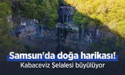 Samsun'da doğa harikası! Kabaceviz Şelalesi büyülüyor