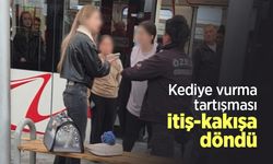 Kediye vurma tartışması itiş-kakışa döndü