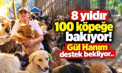 8 yıldır 100 köpeğe bakıyor! Gül Hanım destek bekliyor