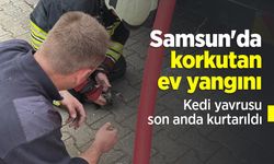 Samsun'da korkutan ev yangını: Kedi yavrusu son anda kurtarıldı