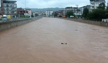 Ordu'da sel felaketi