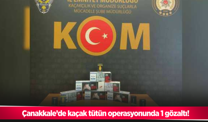 Çanakkale’de kaçak tütün operasyonunda 1 gözaltı