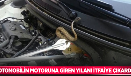Otomobilin motoruna giren yılanı itfaiye çıkardı