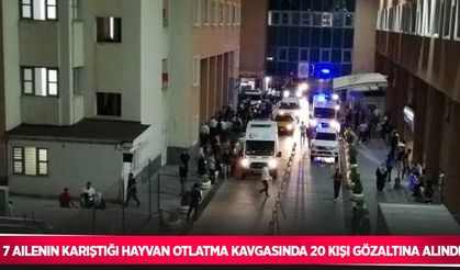 7 ailenin karıştığı hayvan otlatma kavgasında 20 kişi gözaltına alındı