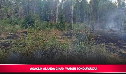 Ağaçlık alanda çıkan yangın söndürüldü
