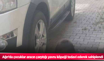 Ağrı’da çocuklar aracın çarptığı yavru köpeği tedavi ederek sahiplendi