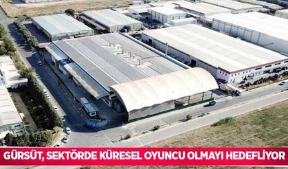 Gürsüt, sektörde küresel oyuncu olmayı hedefliyor