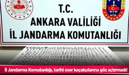 İl Jandarma Komutanlığı, tarihi eser kaçakçılarına göz açtırmadı