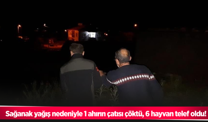 Sağanak yağış nedeniyle 1 ahırın çatısı çöktü, 6 hayvan telef oldu