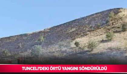 Tunceli’deki örtü yangını söndürüldü