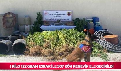 1 kilo 122 gram esrar ile 507 kök kenevir ele geçirildi