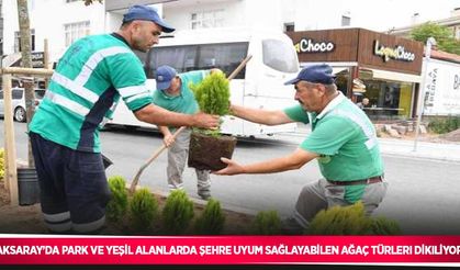 Aksaray’da park ve yeşil alanlarda şehre uyum sağlayabilen ağaç türleri dikiliyor