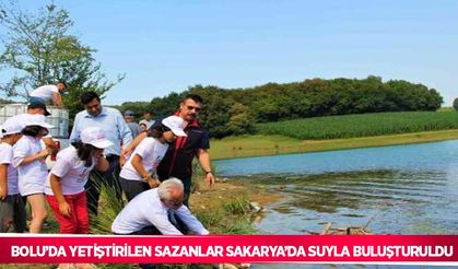Bolu’da yetiştirilen sazanlar Sakarya’da suyla buluşturuldu