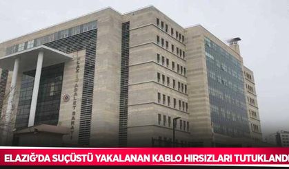 Elazığ’da suçüstü yakalanan kablo hırsızları tutuklandı