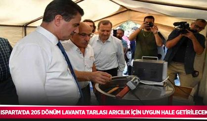 Isparta’da 205 dönüm lavanta tarlası arıcılık için uygun hale getirilecek
