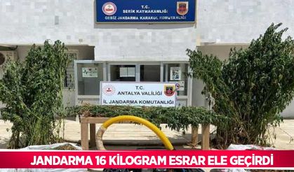 Jandarma 16 kilogram esrar ele geçirdi