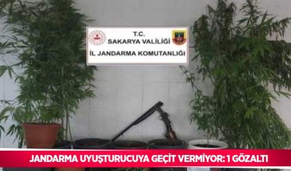 Jandarma uyuşturucuya geçit vermiyor: 1 gözaltı