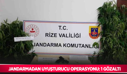 Jandarmadan uyuşturucu operasyonu: 1 gözaltı