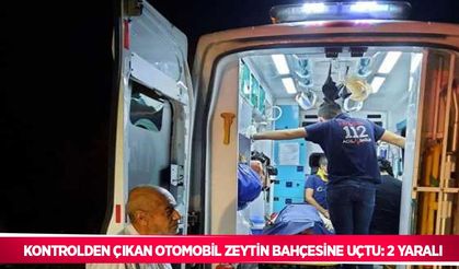 Kontrolden çıkan otomobil zeytin bahçesine uçtu: 2 yaralı