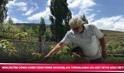 Memleketine dönen gurbetçiden örnek davranış; Ata topraklarına 500 adet meyve ağacı dikti