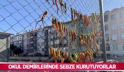 Okul demirlerinde sebze kurutuyorlar