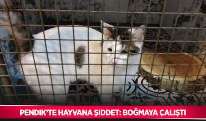 Pendik’te hayvana şiddet: Boğmaya çalıştı