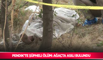 Pendik’te şüpheli ölüm: Ağaçta asılı bulundu
