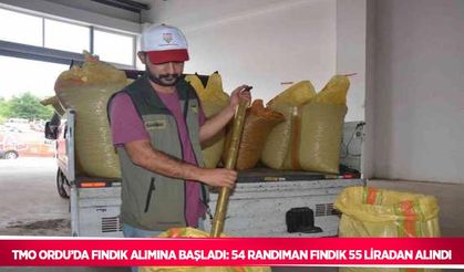 TMO Ordu’da fındık alımına başladı: 54 randıman fındık 55 liradan alındı