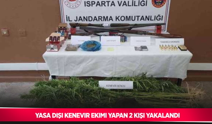 Yasa dışı kenevir ekimi yapan 2 kişi yakalandı