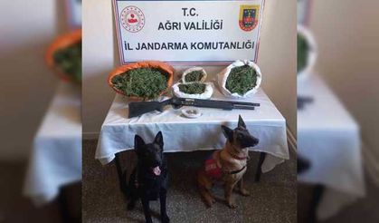 Ağrı’da 15 kilo esrar ele geçirildi