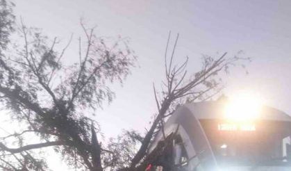 Alaşehir’de tren raylarına ağaç devrildi