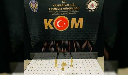 Yüksekova’da 111 adet sikke ele geçirildi