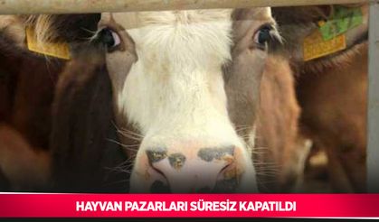 Hayvan pazarları süresiz kapatıldı