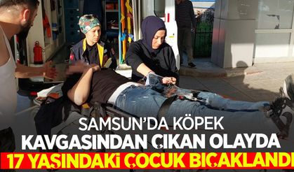 Samsun'da köpek kavgasıdan çıkan olayda 17 yaşındaki çocuk bıçaklandı
