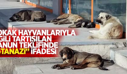 Sokak hayvanlarıyla ilgili tartışılan kanun teklifinde "ötanazi" ifadesi