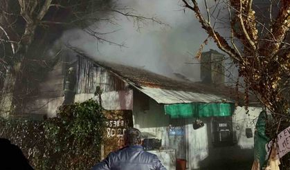 Ev ve ahır alev alev yandı: 4 hayvan telef oldu